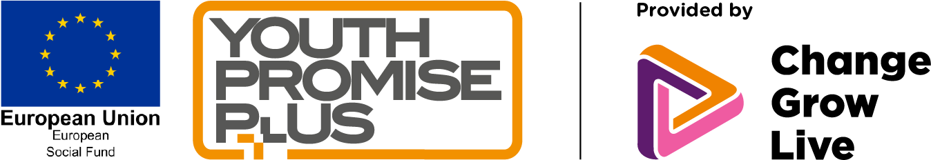 The Birmingham Youth Promise Plus service logos