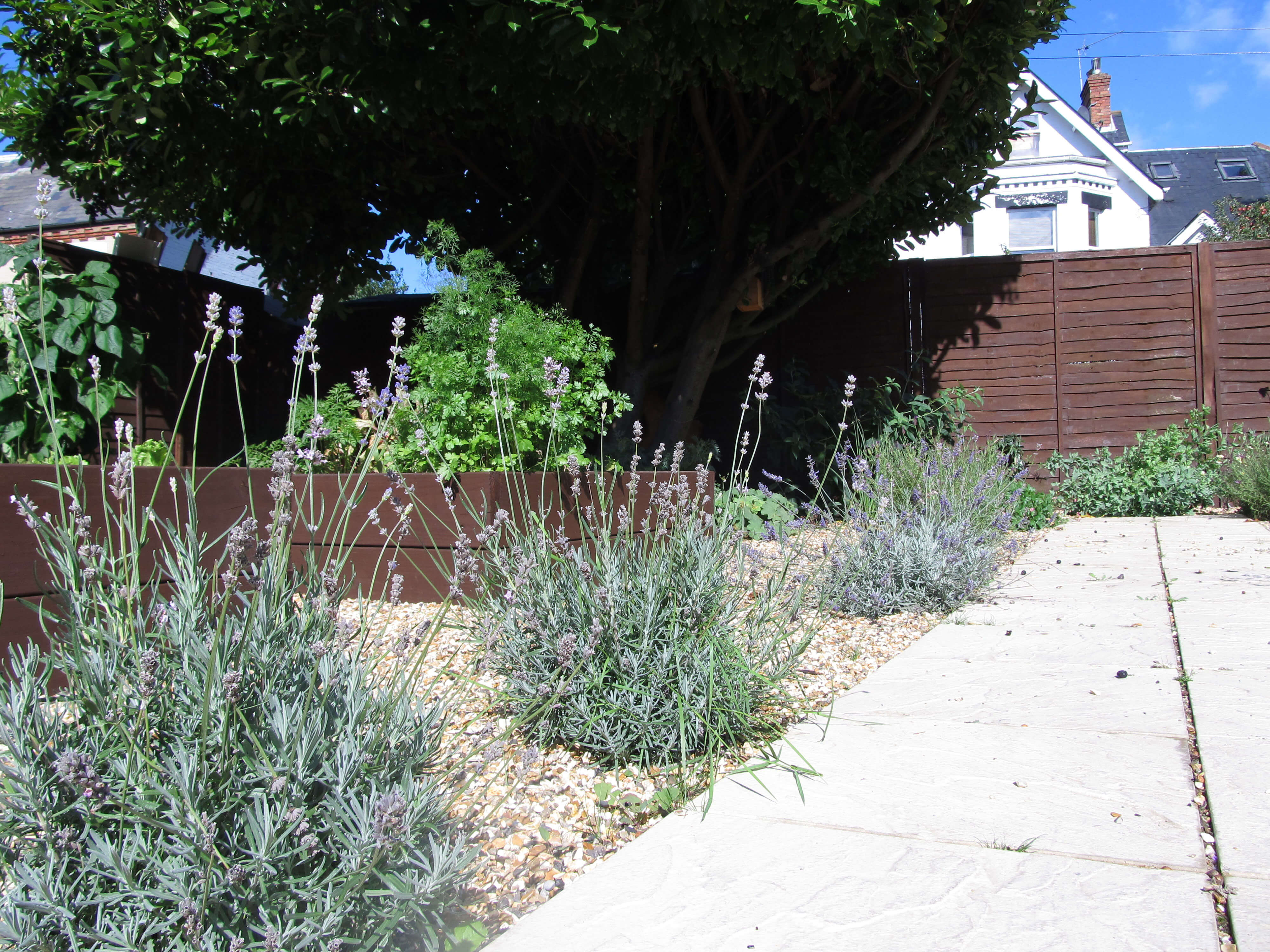 A photo of a garden. There is a path running up the right hand side of the image and a flower bed on the left with gravel amongst the plants