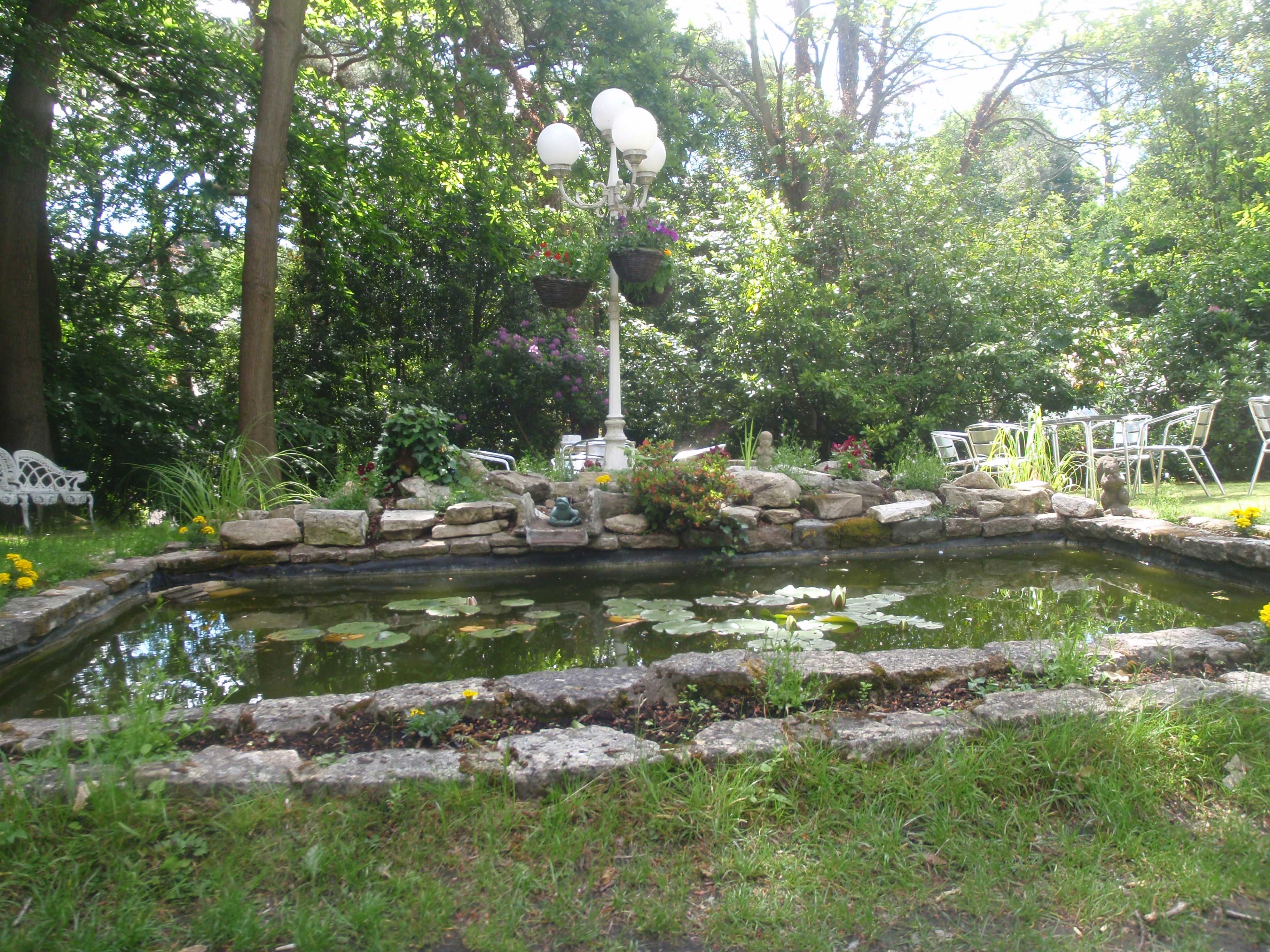 Part of the garden - trees in the background, a square pond with lily pads - surrounded by stones. Grass in the foreground