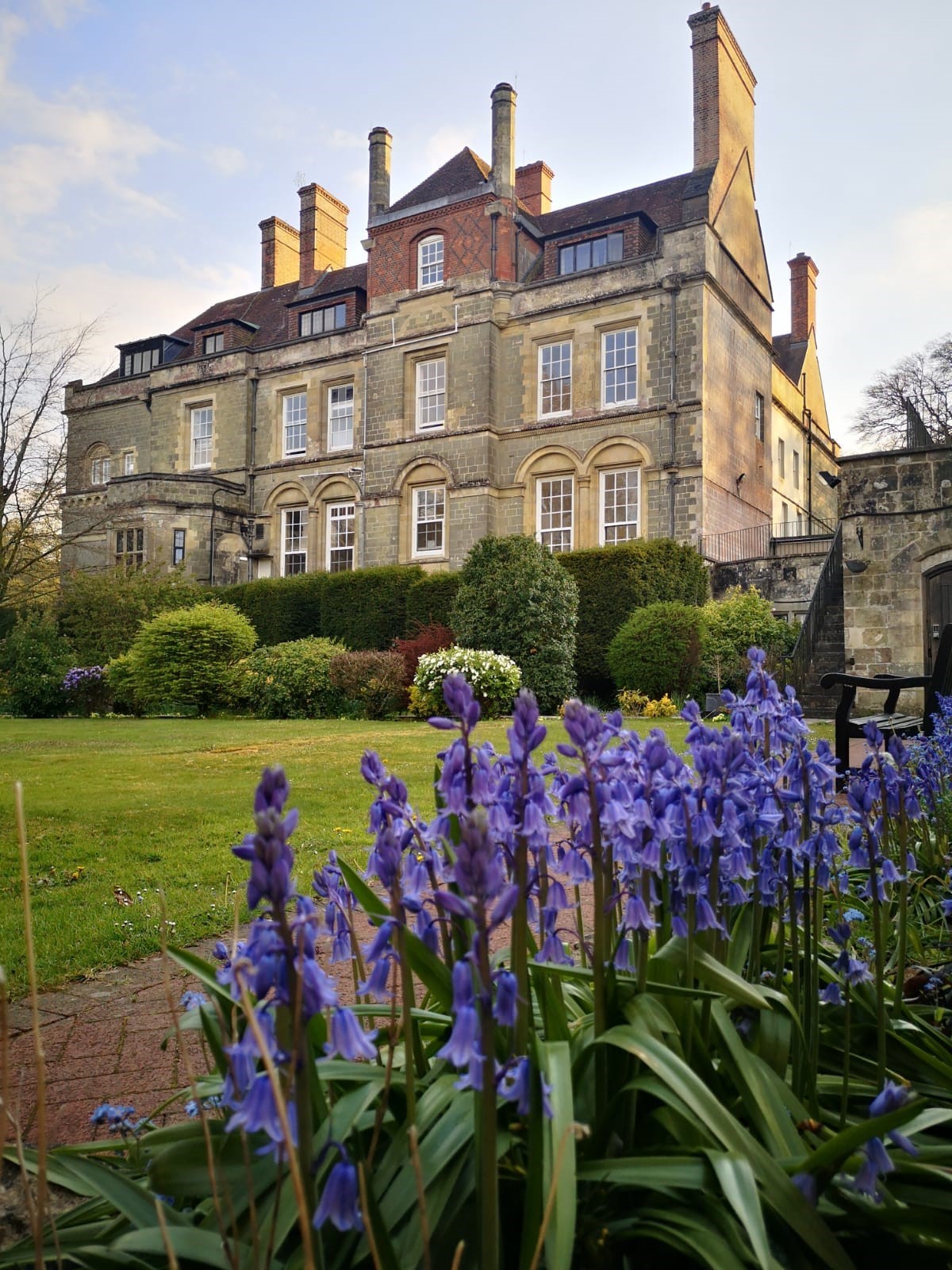 Clouds house garden - outside of building with bluebells in the foreground