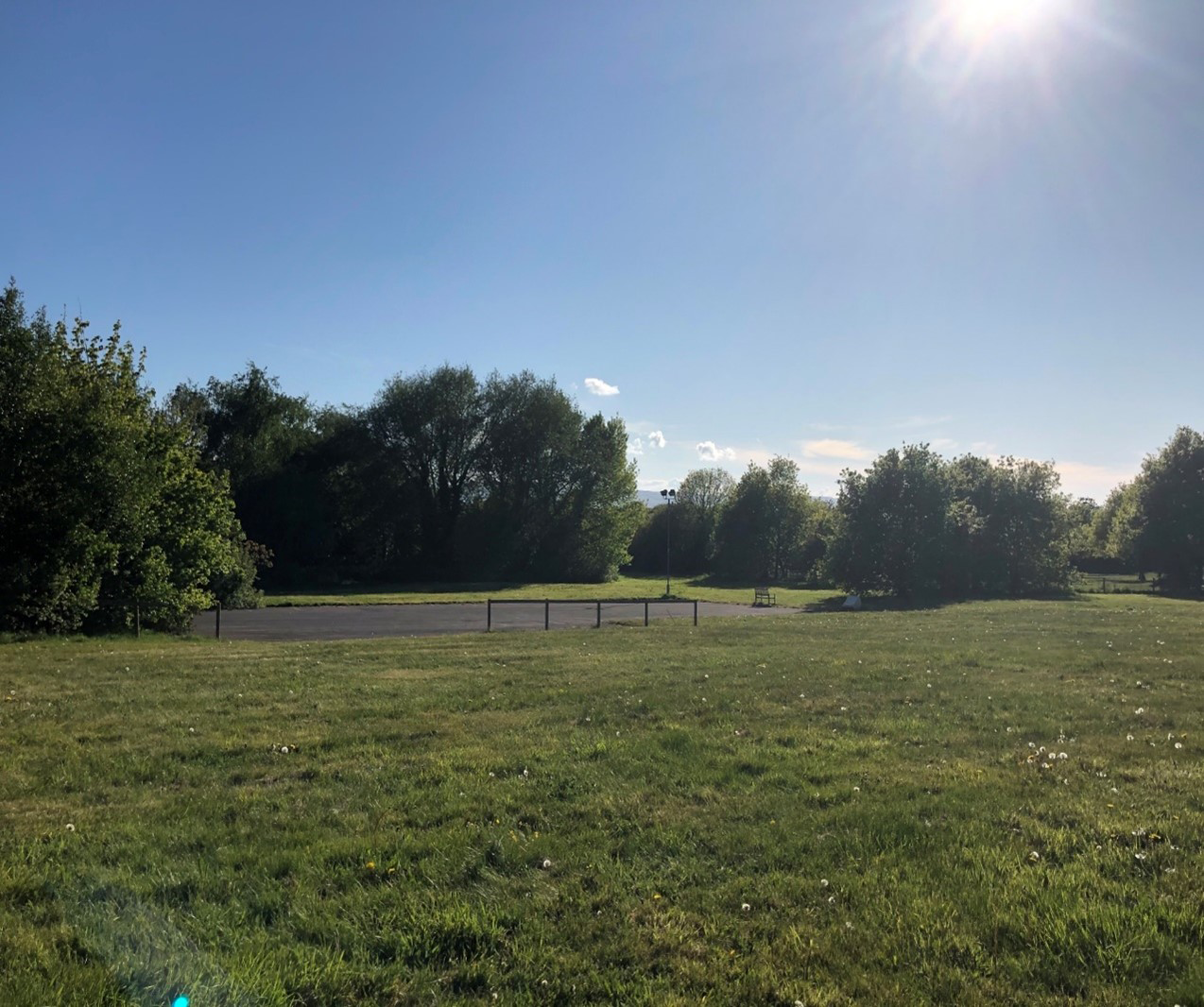 A field with trees in the distance.