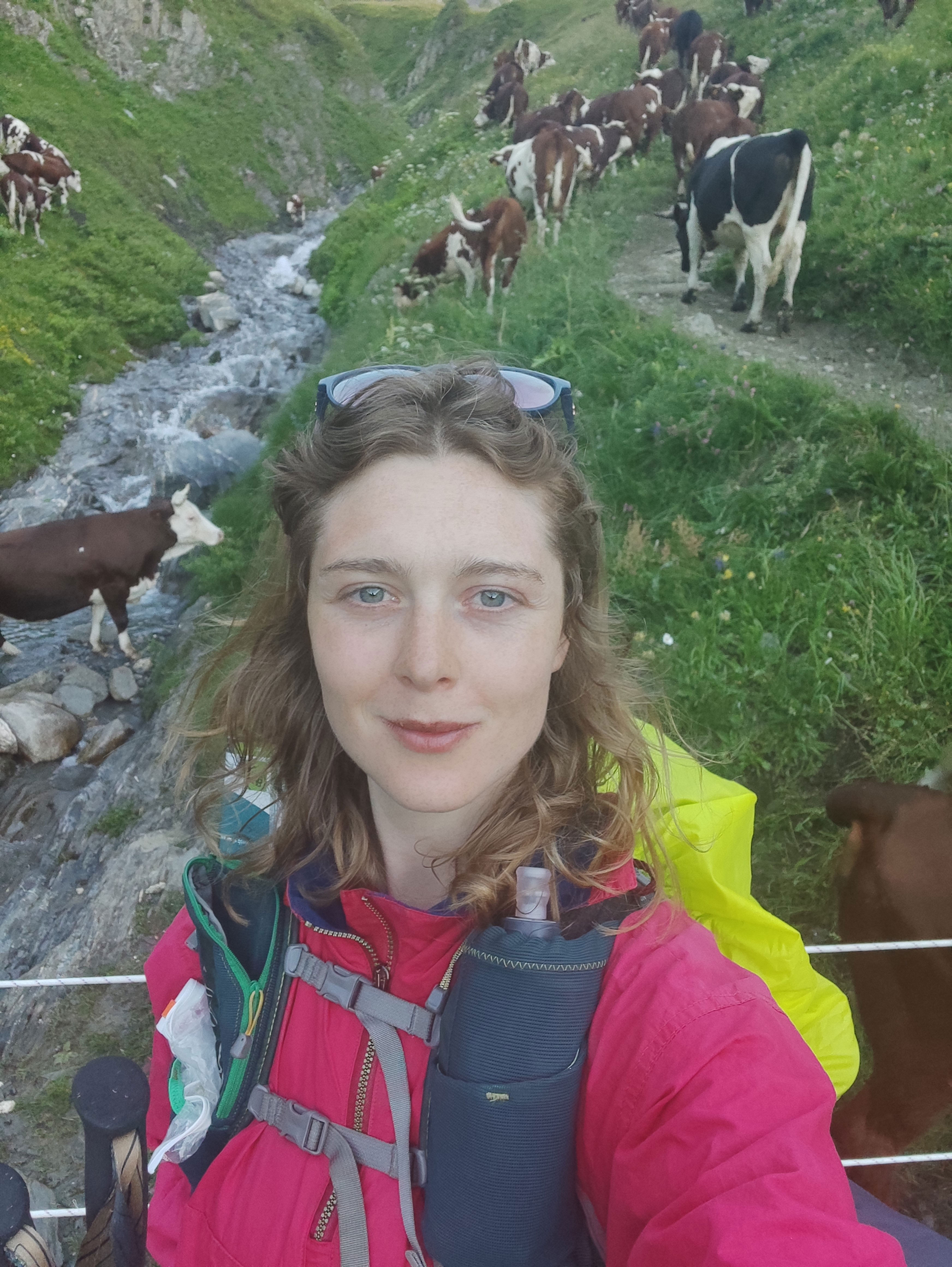 Lucy is wearing hiking gear and is taking a selfie. there are cows in the background