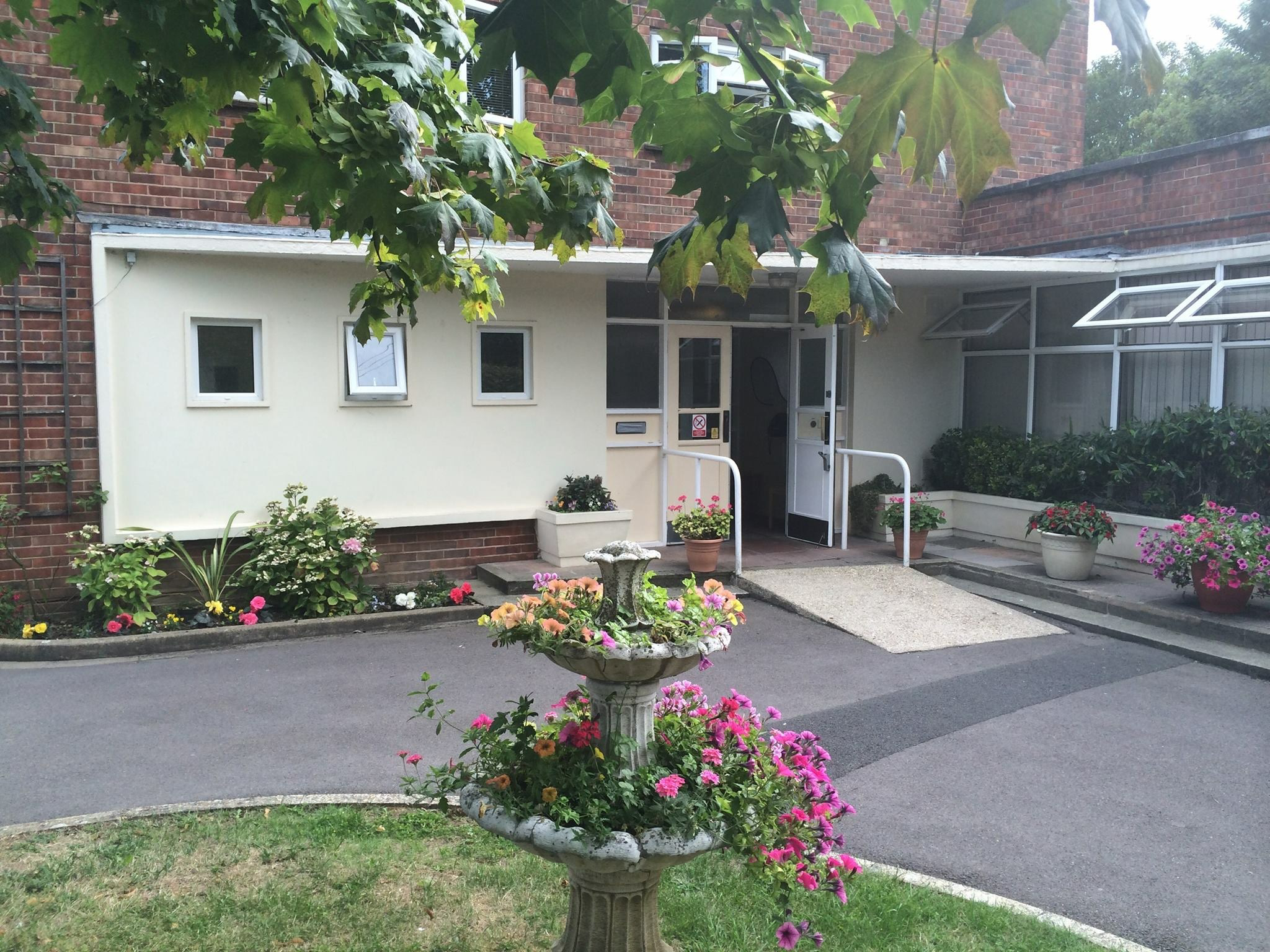 A photo of the outside of the building. There are plenty of windows with a tree over hanging the top of the image.
