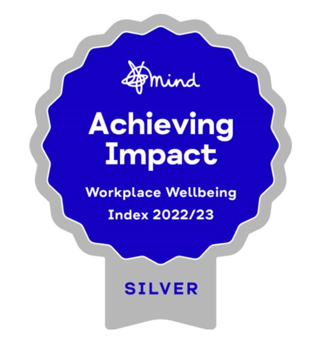 Mind Silver Award - Achieving Impact
