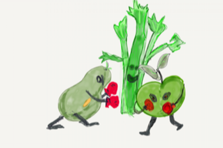 An illustration of food having a boxing match