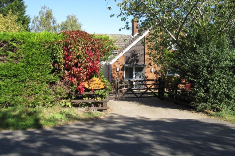 The front of ESH community - a detached, mid century building surrounded by trees