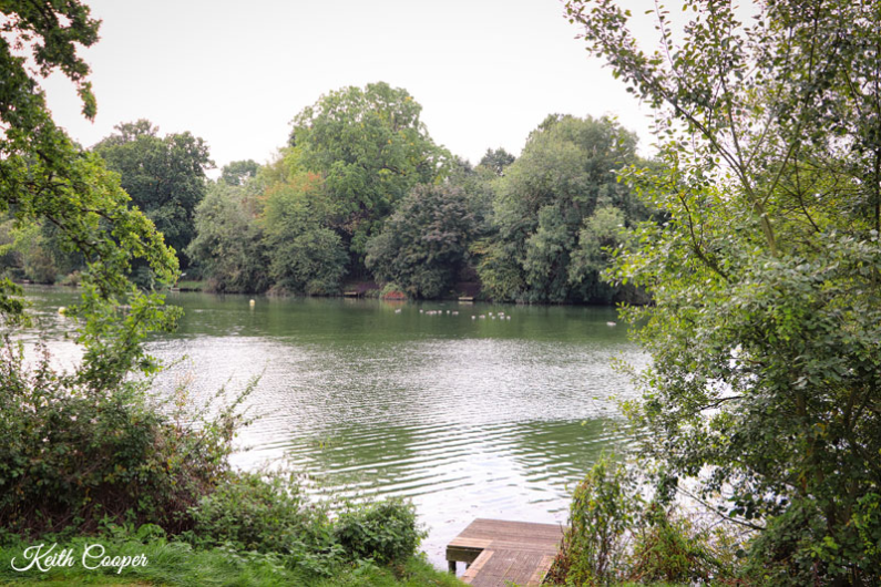 Photo of a lake