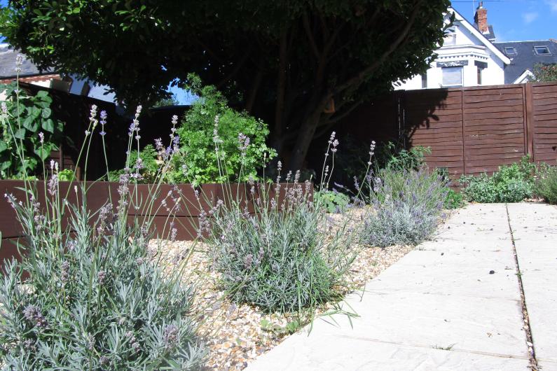  A photo of a garden. There is a path running up the right hand side of the image and a flower bed on the left with gravel amongst the plants