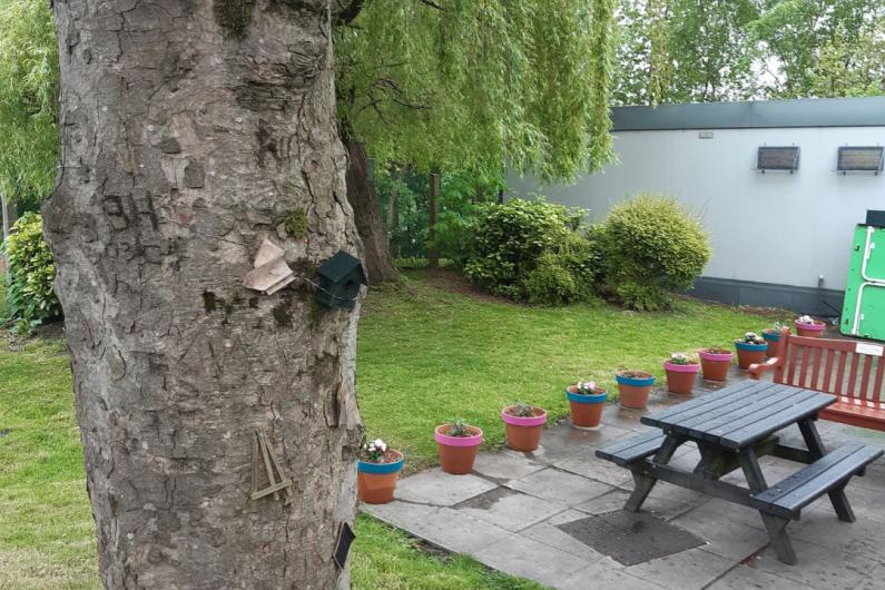 Garden - a garden with a lawn and a picnic bench. In the foreground there is a tree trunk with a pink bird box.