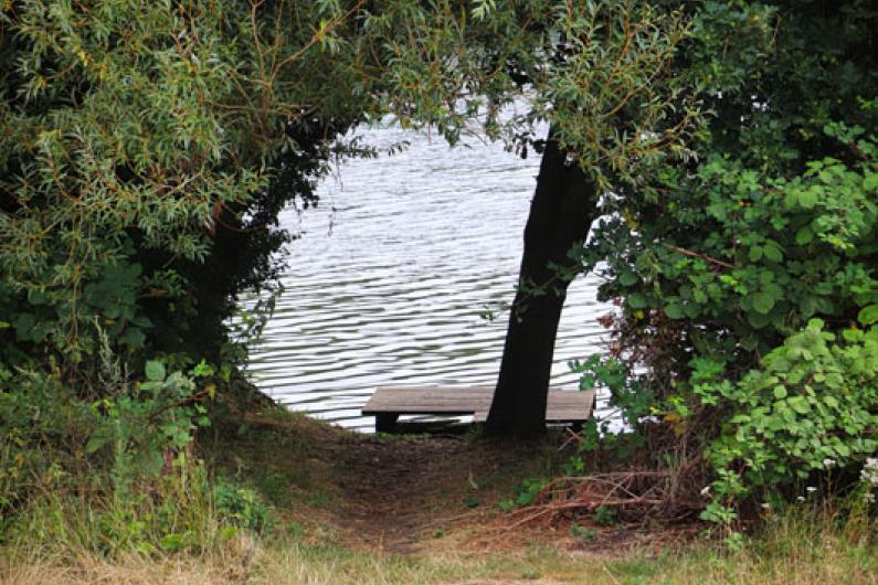 A photo of an arch way made of trees leading down to a river 