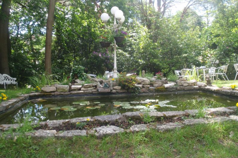 Part of the garden - trees in the background, a square pond with lily pads - surrounded by stones. Grass in the foreground
