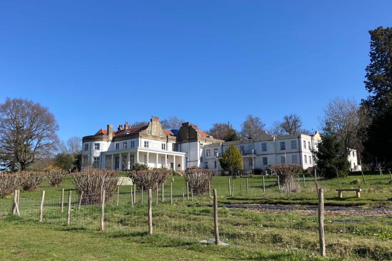 Kenward trust's back garden - an orchard with trees and the back of the main building in the background