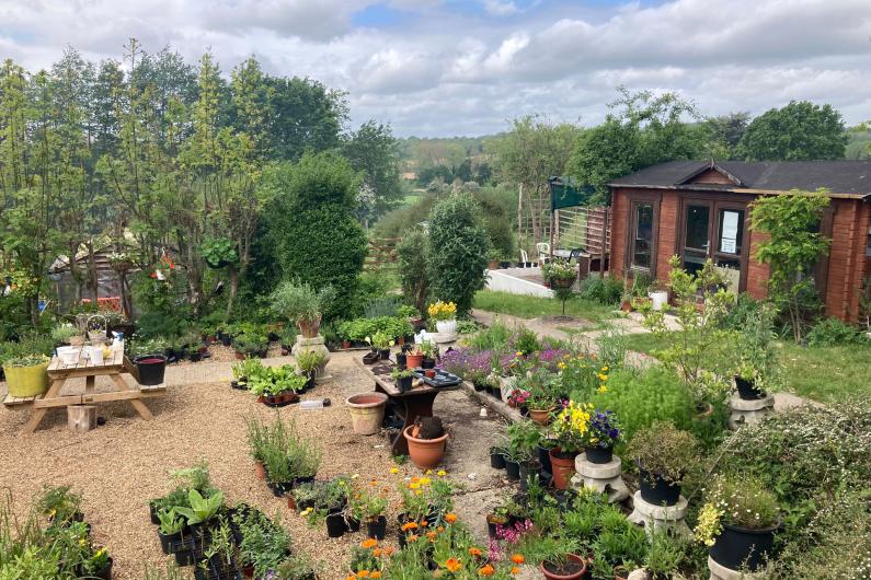 Kenward Trust's gardens - lots of potted plants, trees and a garden shed