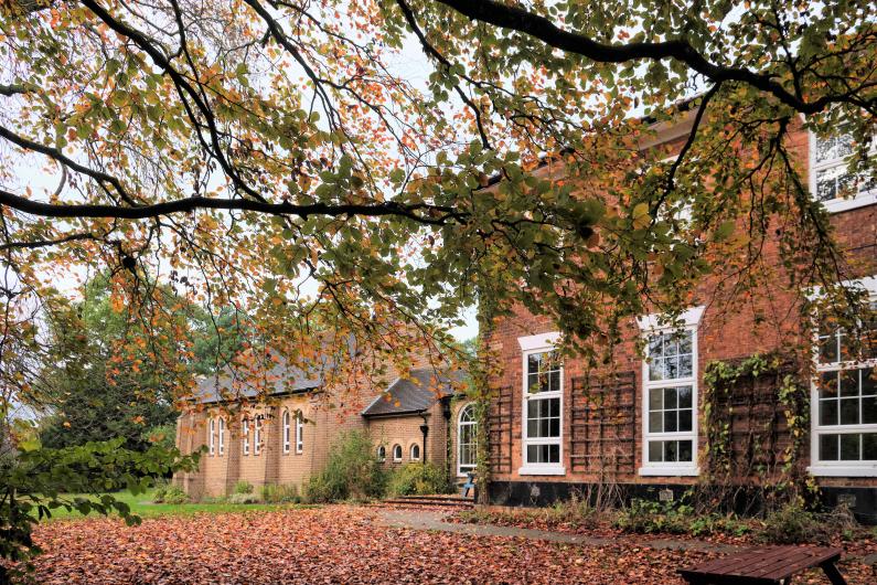 An autumnal garden scene at Oakwood. There a branches of a tree in the foreground, autumn leaves on the floor and the red-bricked main building is in the background