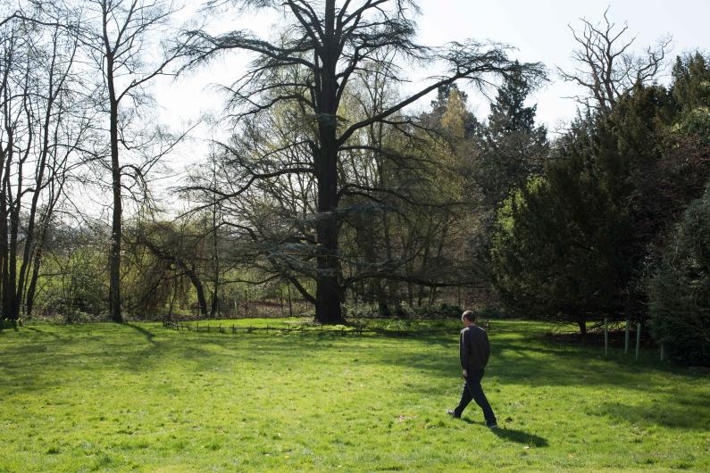 Yeldall Manor Garden - a large expanse of grass with trees in the background. A man is walking on the grass