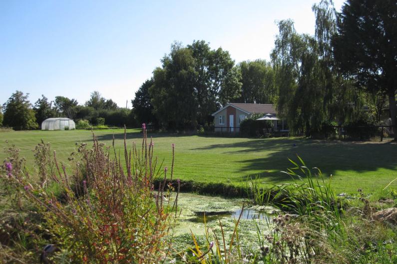 ESH community grounds - a large lawn, with bushes in the foreground and trees in the background