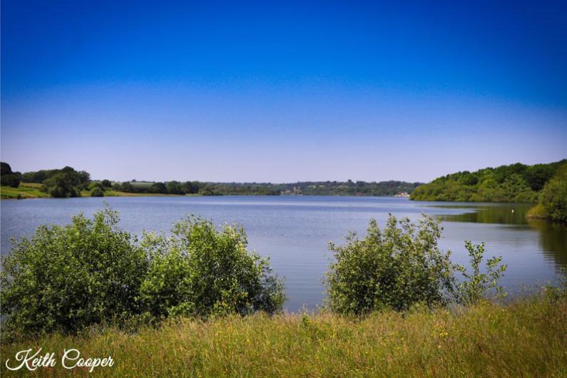 A lake surrounded by fields and bushes