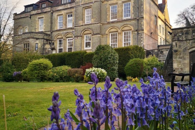 Clouds house garden - outside of building with bluebells in the foreground
