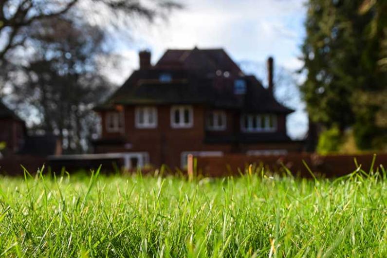 Liberty House Detox Rehab - The front garden. A view from grass level with the house blurred in the background