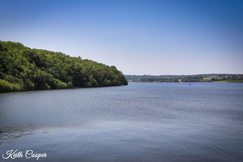 A lake with a forest on the edge of it