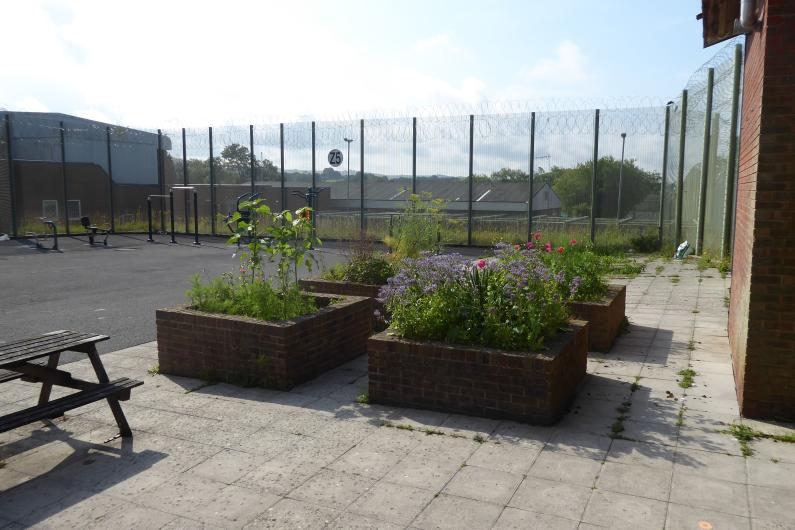 An outdoor courtyard with some planter boxes and wooden picnic benches